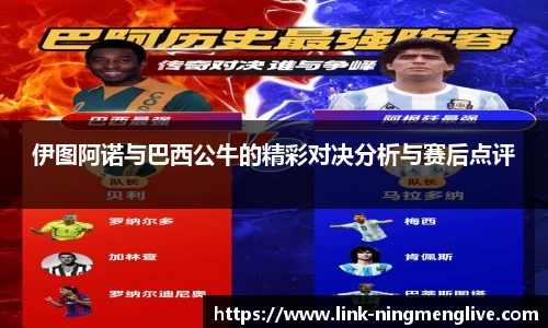 柠檬体育