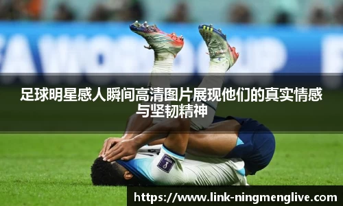 柠檬体育