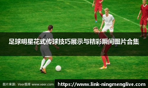 柠檬体育