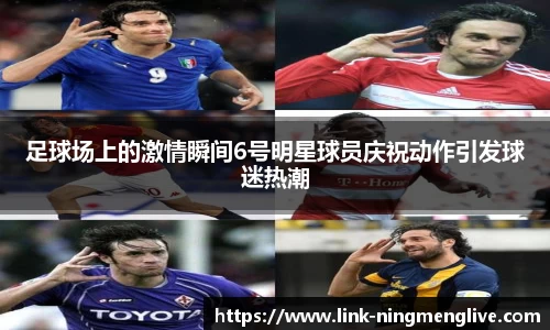 足球场上的激情瞬间6号明星球员庆祝动作引发球迷热潮