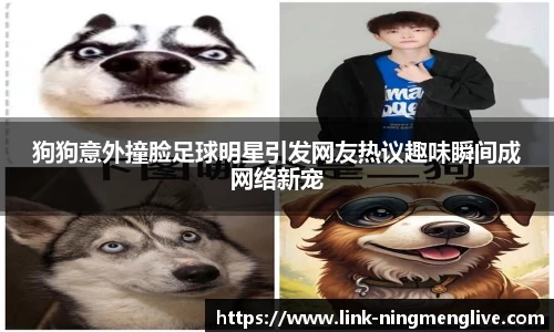 狗狗意外撞脸足球明星引发网友热议趣味瞬间成网络新宠